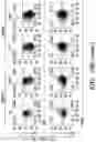 Fig. 31 - COMPOSITIONS AND METHODS FOR MODULATING AN IMMUNE RESPONSE