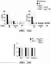 Fig. 37 - COMPOSITIONS AND METHODS FOR MODULATING AN IMMUNE RESPONSE