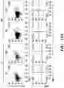 Fig. 40 - COMPOSITIONS AND METHODS FOR MODULATING AN IMMUNE RESPONSE