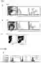 Fig. 02 - ACTIVITY MODULATOR, MEDICINAL AGENT COMPRISING SAME, USE OF CD300A GENE-DEFICIENT MOUSE, AND ANTI-CD300A ANTIBODY