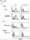 Fig. 06 - ACTIVITY MODULATOR, MEDICINAL AGENT COMPRISING SAME, USE OF CD300A GENE-DEFICIENT MOUSE, AND ANTI-CD300A ANTIBODY