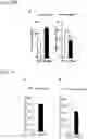 Fig. 16 - ACTIVITY MODULATOR, MEDICINAL AGENT COMPRISING SAME, USE OF CD300A GENE-DEFICIENT MOUSE, AND ANTI-CD300A ANTIBODY