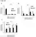 Fig. 28 - ACTIVITY MODULATOR, MEDICINAL AGENT COMPRISING SAME, USE OF CD300A GENE-DEFICIENT MOUSE, AND ANTI-CD300A ANTIBODY