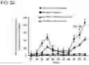 Fig. 30 - ACTIVITY MODULATOR, MEDICINAL AGENT COMPRISING SAME, USE OF CD300A GENE-DEFICIENT MOUSE, AND ANTI-CD300A ANTIBODY