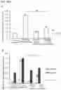 Fig. 33 - ACTIVITY MODULATOR, MEDICINAL AGENT COMPRISING SAME, USE OF CD300A GENE-DEFICIENT MOUSE, AND ANTI-CD300A ANTIBODY