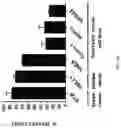 Fig. 15 - HLA-restricted VGLL1 peptides and use thereof in promoting an immune response in a subject