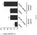 Fig. 16 - HLA-restricted VGLL1 peptides and use thereof in promoting an immune response in a subject