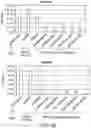 Fig. 47 - COMPOSITIONS AND METHODS RELATED TO ENGINEERED FC-ANTIGEN BINDING DOMAIN CONSTRUCTS