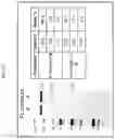 Fig. 52 - COMPOSITIONS AND METHODS RELATED TO ENGINEERED FC-ANTIGEN BINDING DOMAIN CONSTRUCTS