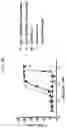 Fig. 55 - COMPOSITIONS AND METHODS RELATED TO ENGINEERED FC-ANTIGEN BINDING DOMAIN CONSTRUCTS