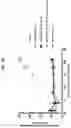 Fig. 59 - COMPOSITIONS AND METHODS RELATED TO ENGINEERED FC-ANTIGEN BINDING DOMAIN CONSTRUCTS