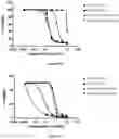 Fig. 05 - Pharmaceutical combinations comprising an anti-LY75 antibody