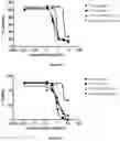 Fig. 06 - Pharmaceutical combinations comprising an anti-LY75 antibody
