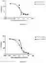 Fig. 11 - Pharmaceutical combinations comprising an anti-LY75 antibody
