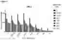 Fig. 32 - Pharmaceutical combinations comprising an anti-LY75 antibody