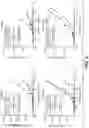 Fig. 16 - Anti-CD40 antibodies