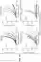 Fig. 20 - Anti-CD40 antibodies
