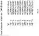 Fig. 05 - Anti-Human CD52 Immunoglobulins