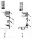 Fig. 102 - Anti-Human CD52 Immunoglobulins