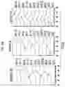 Fig. 12 - Anti-Human CD52 Immunoglobulins