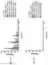Fig. 130 - Anti-Human CD52 Immunoglobulins