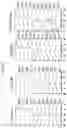 Fig. 14 - Anti-Human CD52 Immunoglobulins