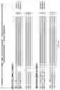 Fig. 22 - Anti-Human CD52 Immunoglobulins