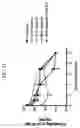Fig. 27 - Anti-Human CD52 Immunoglobulins