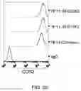 Fig. 31 - Anti-Human CD52 Immunoglobulins