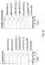Fig. 45 - Anti-Human CD52 Immunoglobulins