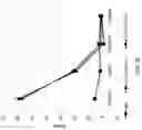 Fig. 49 - Anti-Human CD52 Immunoglobulins