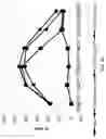 Fig. 50 - Anti-Human CD52 Immunoglobulins