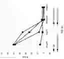 Fig. 51 - Anti-Human CD52 Immunoglobulins