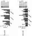 Fig. 64 - Anti-Human CD52 Immunoglobulins