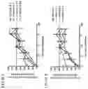 Fig. 66 - Anti-Human CD52 Immunoglobulins