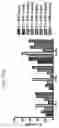 Fig. 71 - Anti-Human CD52 Immunoglobulins