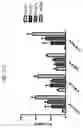 Fig. 85 - Anti-Human CD52 Immunoglobulins
