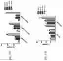 Fig. 86 - Anti-Human CD52 Immunoglobulins