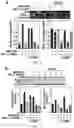 Fig. 05 - Multimodal cancer therapy comprising chimeric viral/nonviral nanoparticles and anticancer agents