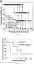 Fig. 07 - Multimodal cancer therapy comprising chimeric viral/nonviral nanoparticles and anticancer agents