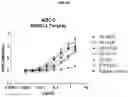Fig. 05 - Antibodies and methods for making and using the same