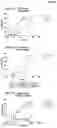 Fig. 16 - Antibodies and methods for making and using the same
