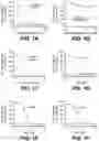 Fig. 02 - ANTI-KLK5 ANTIBODIES AND METHODS OF USE