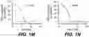 Fig. 04 - ANTI-KLK5 ANTIBODIES AND METHODS OF USE