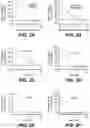 Fig. 05 - ANTI-KLK5 ANTIBODIES AND METHODS OF USE