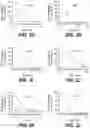 Fig. 06 - ANTI-KLK5 ANTIBODIES AND METHODS OF USE