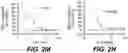 Fig. 07 - ANTI-KLK5 ANTIBODIES AND METHODS OF USE
