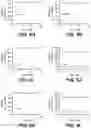 Fig. 18 - ANTI-KLK5 ANTIBODIES AND METHODS OF USE
