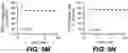 Fig. 25 - ANTI-KLK5 ANTIBODIES AND METHODS OF USE