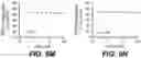 Fig. 28 - ANTI-KLK5 ANTIBODIES AND METHODS OF USE